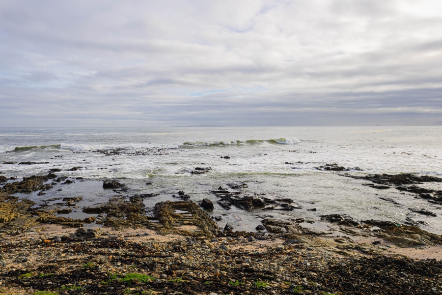 To Let 1 Bedroom Property for Rent in Mouille Point Western Cape